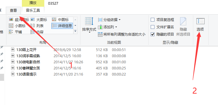 查看文件夹目录视图设置成固定模式
