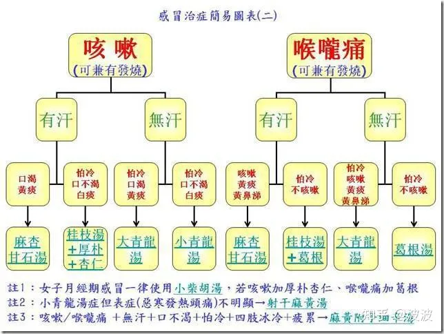 倪海厦感冒治症简易图表 倪海厦感冒治症简易图表