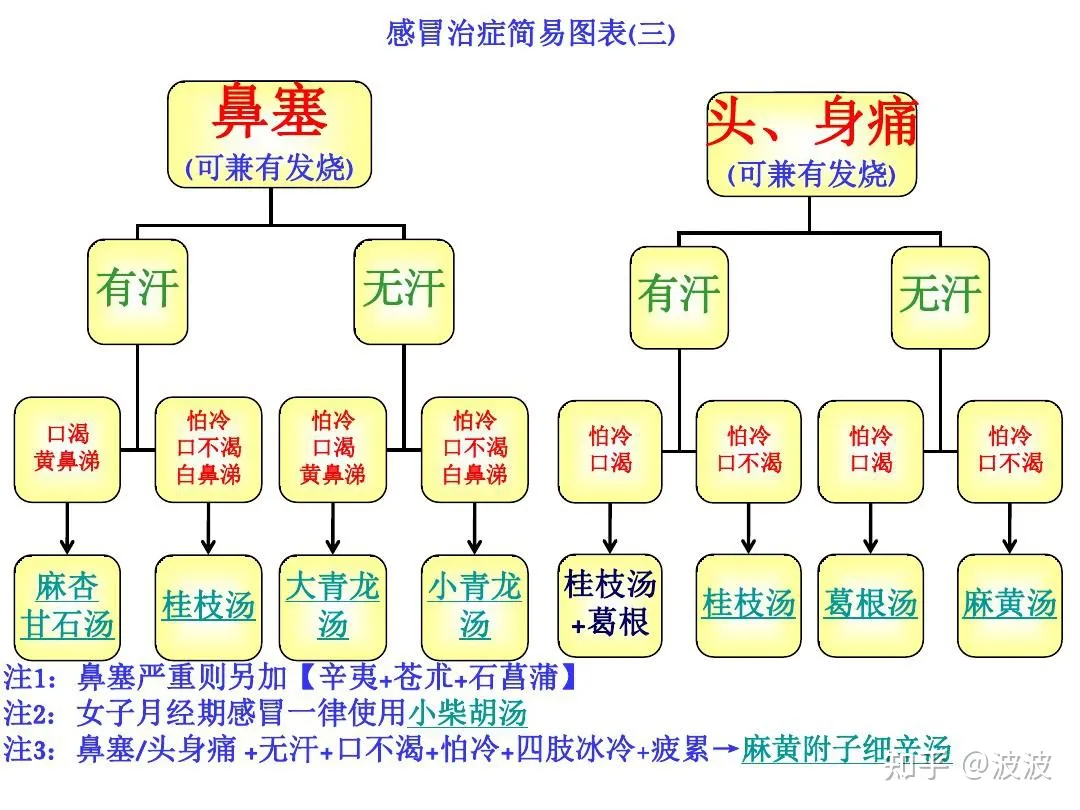 倪海厦感冒治症简易图表 倪海厦感冒治症简易图表