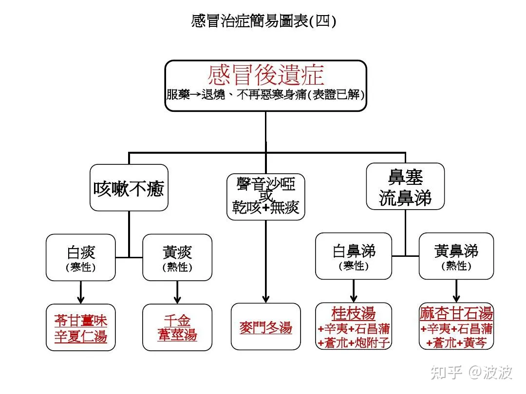 倪海厦感冒治症简易图表 倪海厦感冒治症简易图表