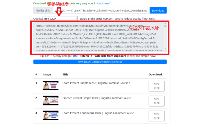 IDM批量下载YouTube播放视频列表列表