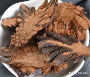 中药处方大青皂秋引