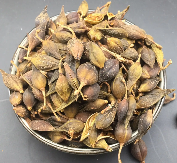 中药处方大青皂秋引