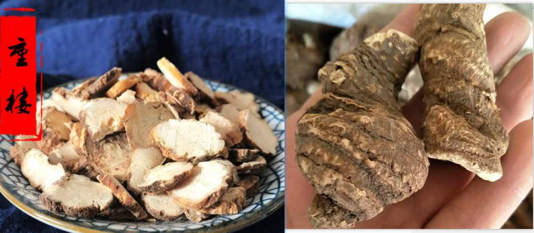 中药处方大青皂秋引