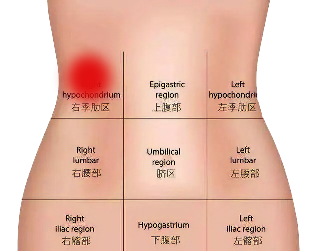 一张“腹部地图”，带你看懂肚子疼究竟是哪里疼 “腹部”超级重要！