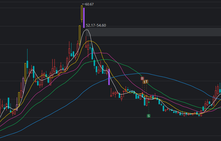 长白山亏损总结
