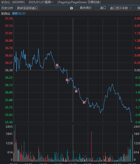 长白山亏损总结
