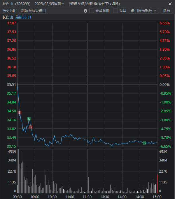 长白山亏损总结